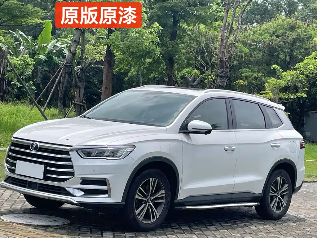 BYD Pro 2020