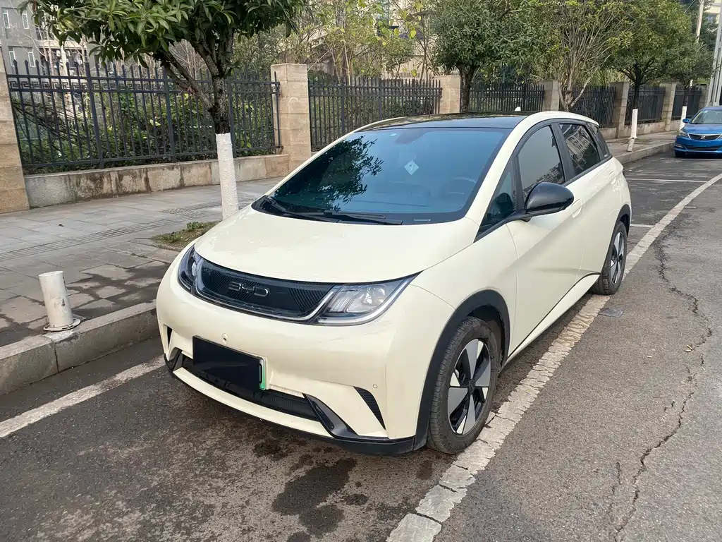 BYD Dolphin 2024