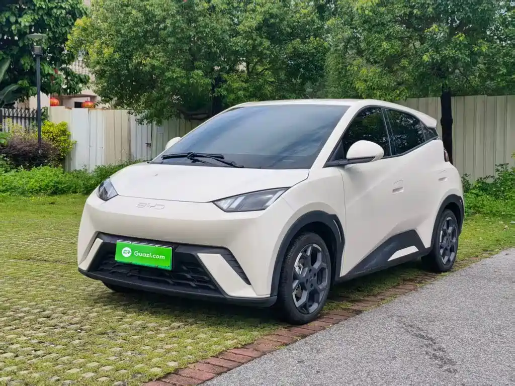 BYD Seagull 2024