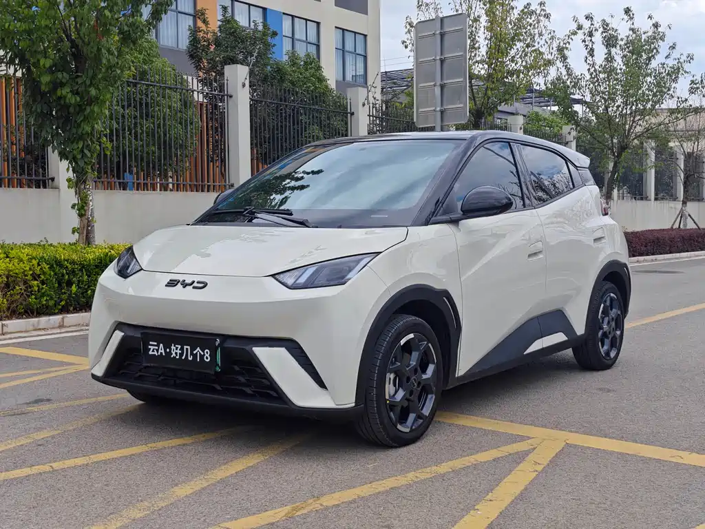 BYD Seagull 2025