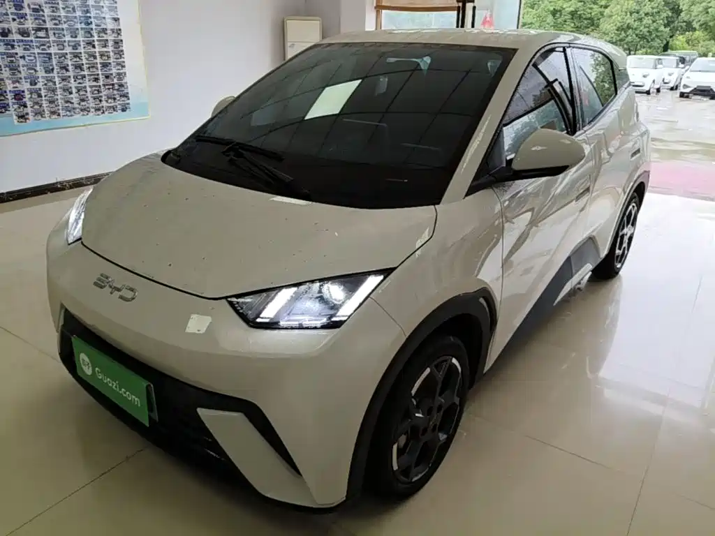 BYD Seagull 2024
