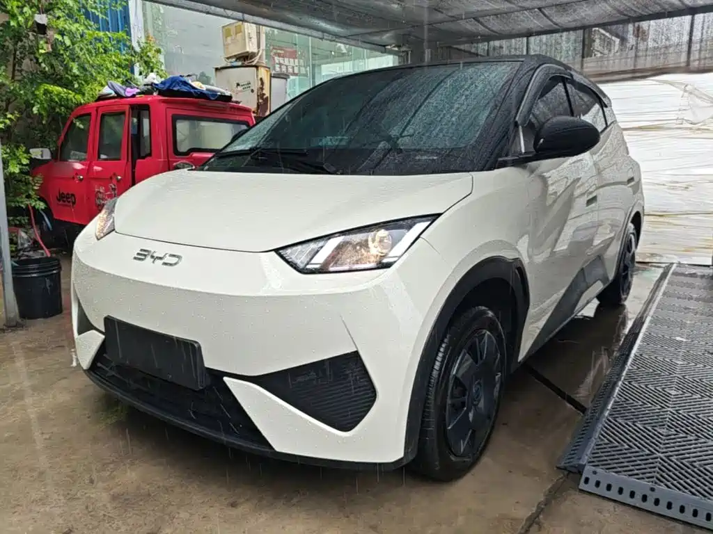 BYD Seagull 2025