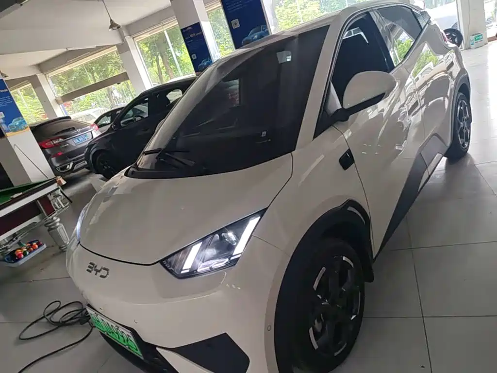 BYD Seagull 2025