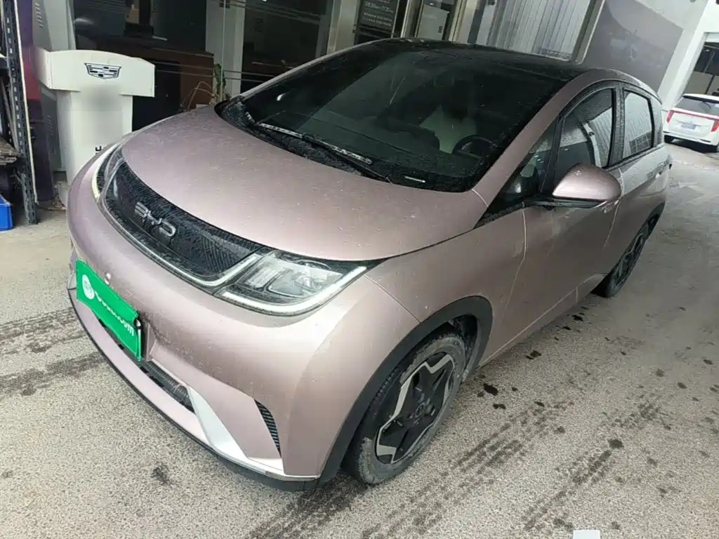 BYD Dolphin 2022