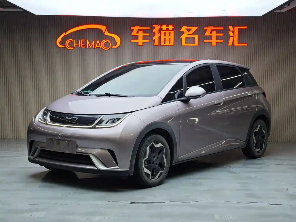 BYD Dolphin 2022