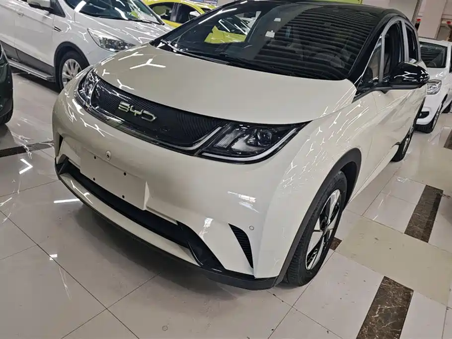 BYD Dolphin 2024