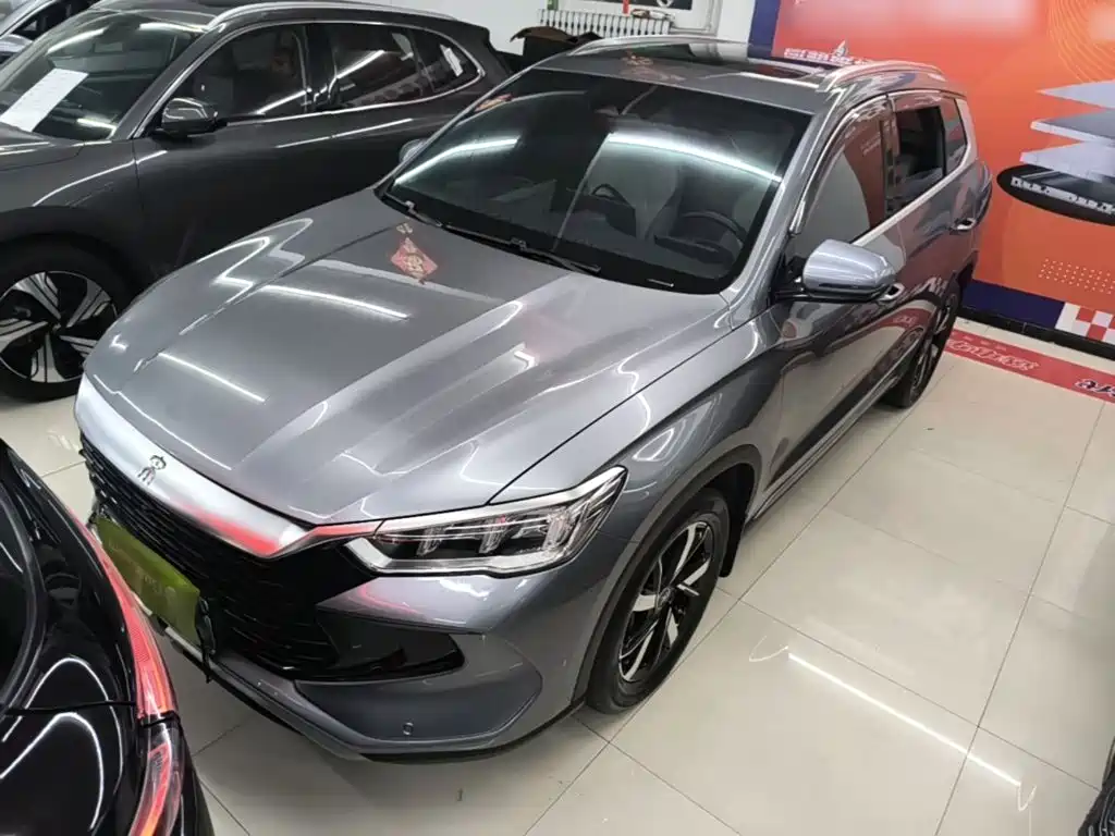 BYD Pro New Energy 2024