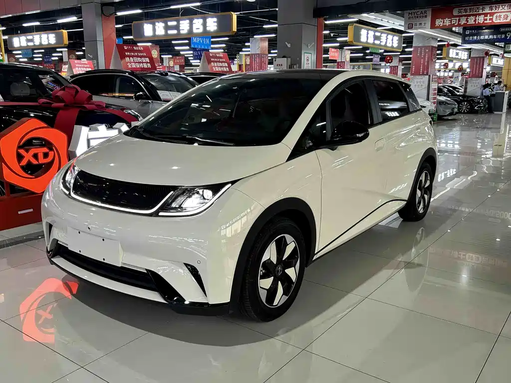 BYD Dolphin 2024