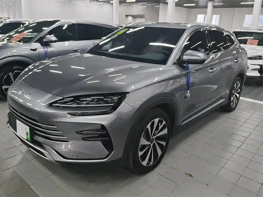 BYD PLUS New Energy 2023
