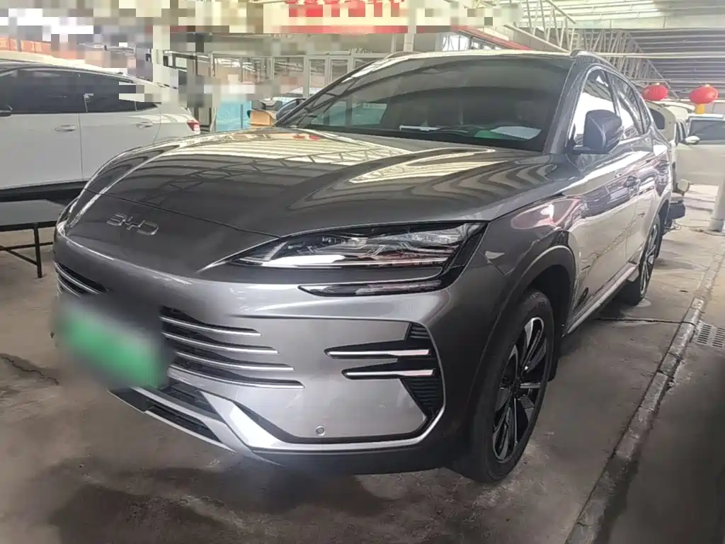 BYD PLUS New Energy 2025