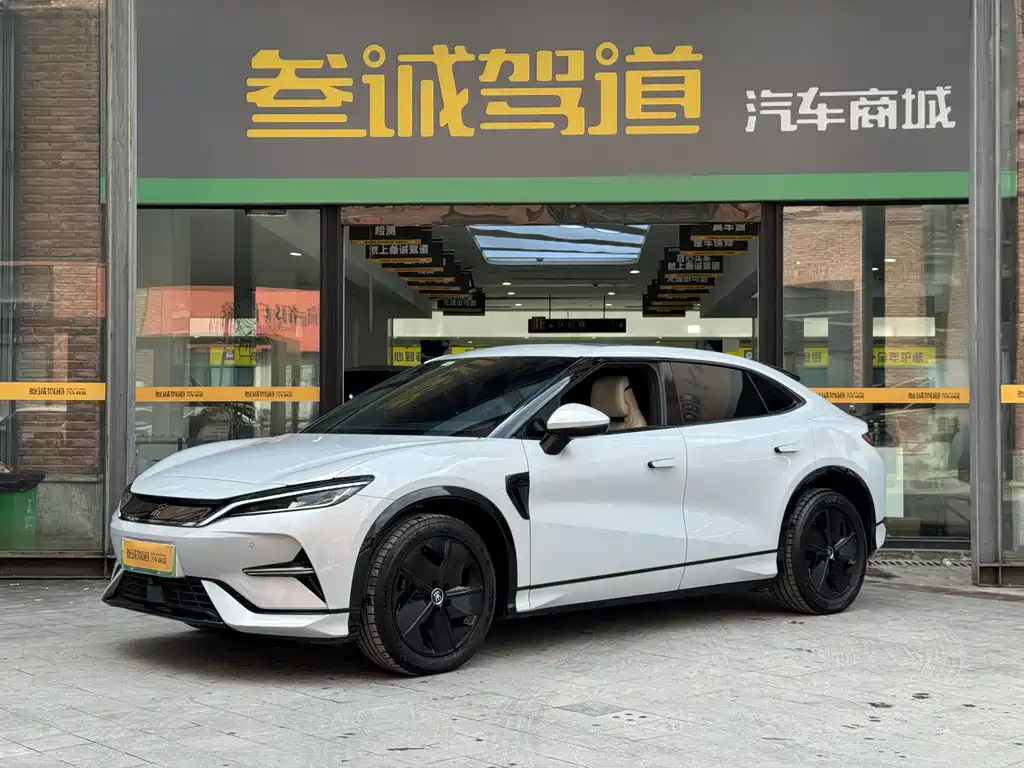 BYD L EV 2024