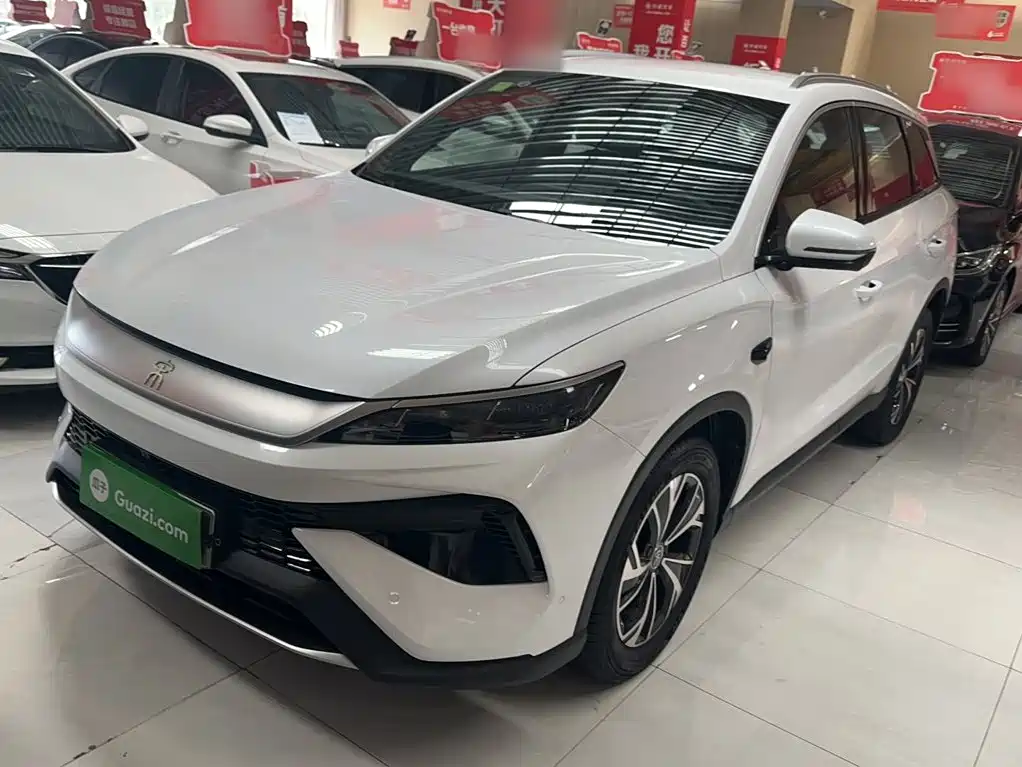 BYD Pro New Energy 2025