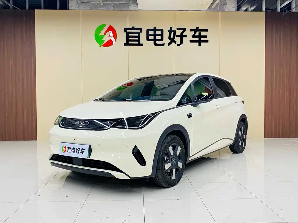 BYD Dolphin 2025