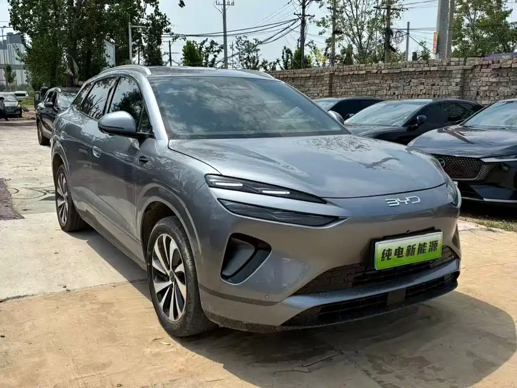 BYD 海狮06 2025