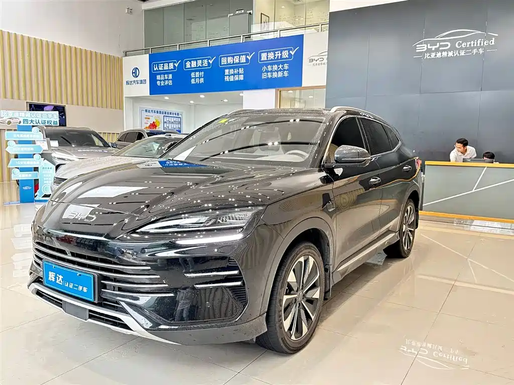 BYD PLUS New Energy 2025