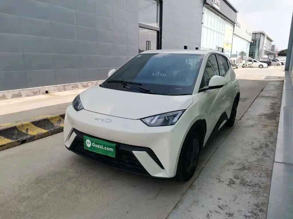 BYD Seagull 2024