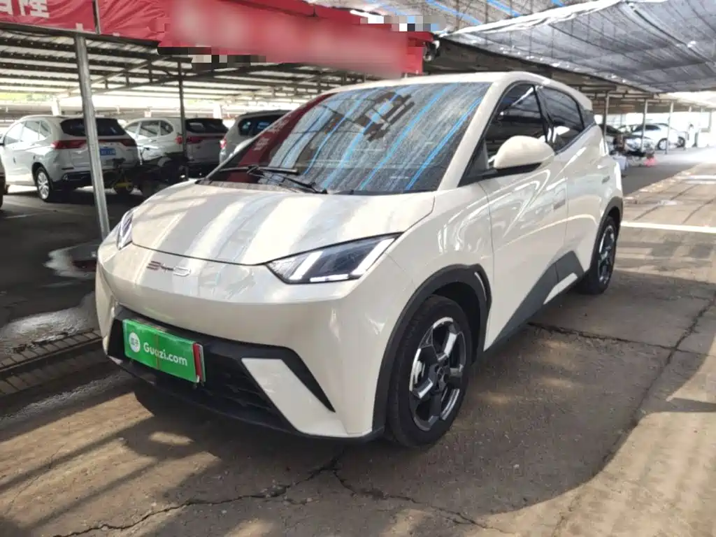 BYD Seagull 2024