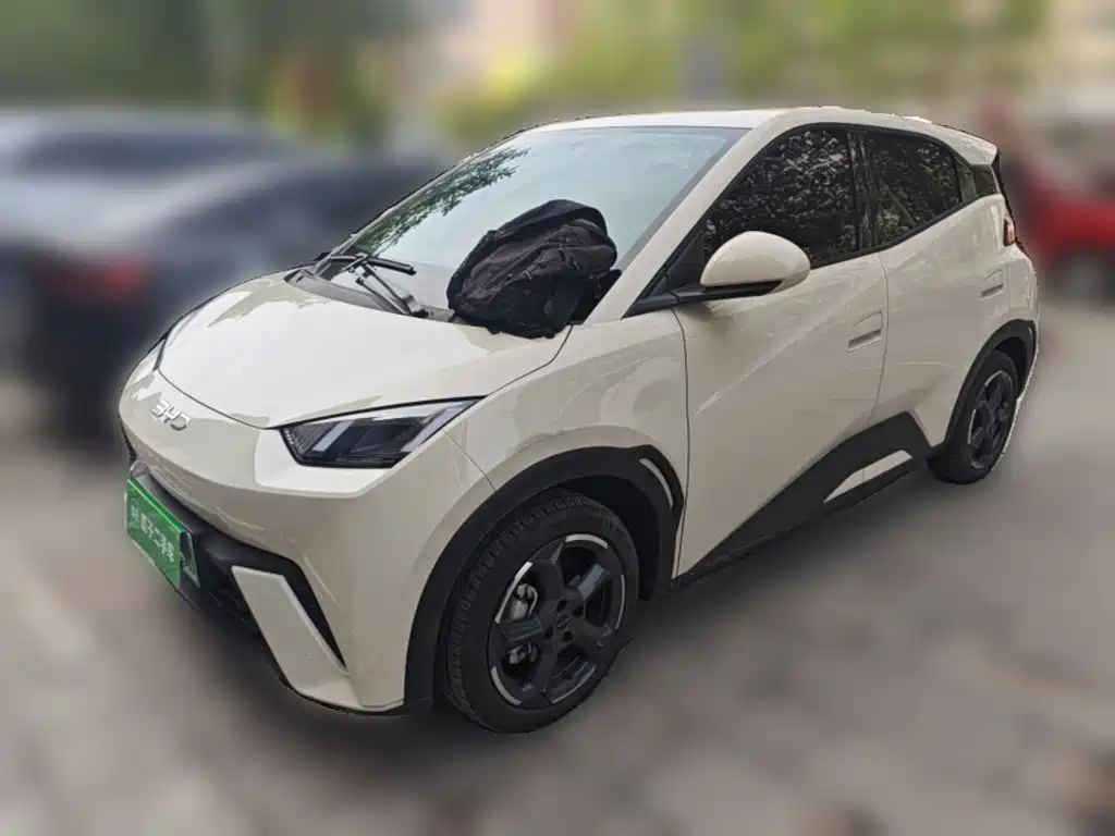 BYD Seagull 2024