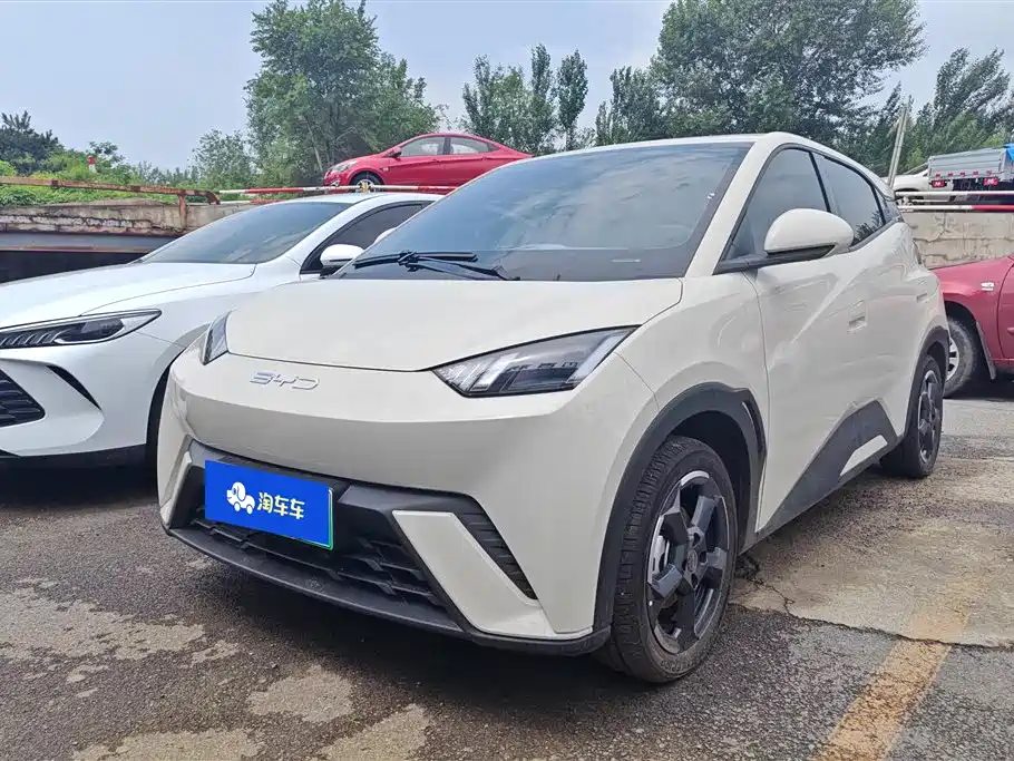 BYD Seagull 2024