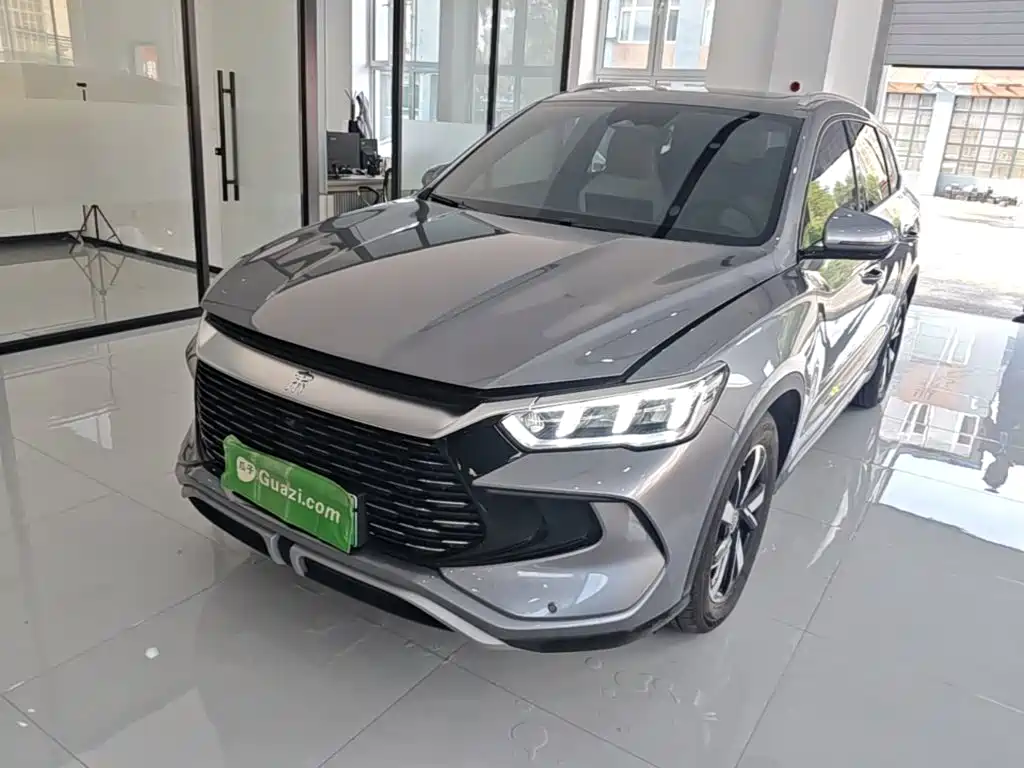 BYD Pro New Energy 2025