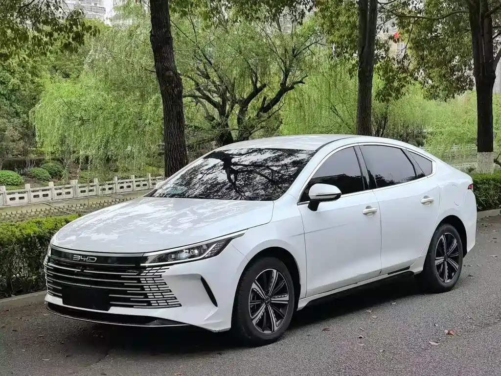 BYD Destroyer 05 2024