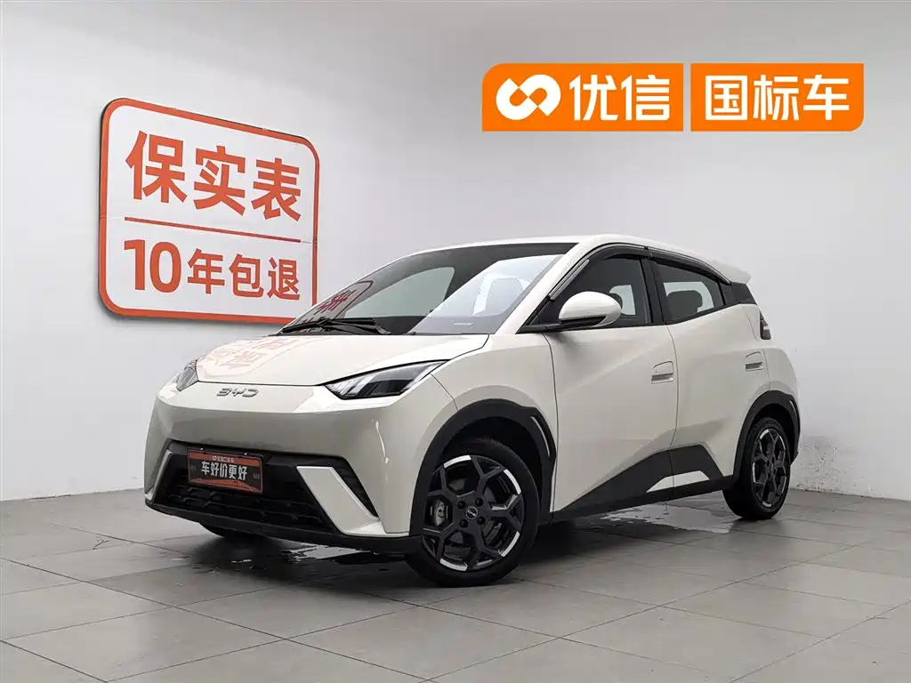 BYD Seagull 2024