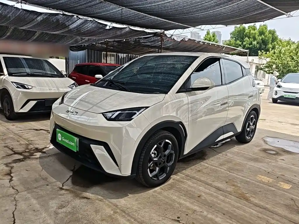 BYD Seagull 2024