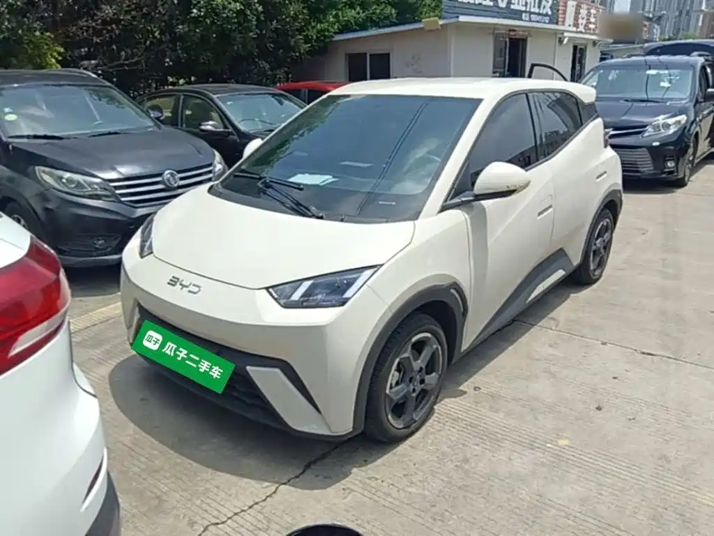 BYD Seagull 2024