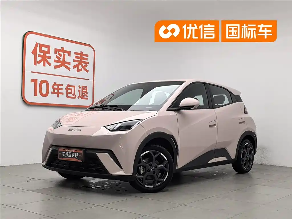 BYD Seagull 2024