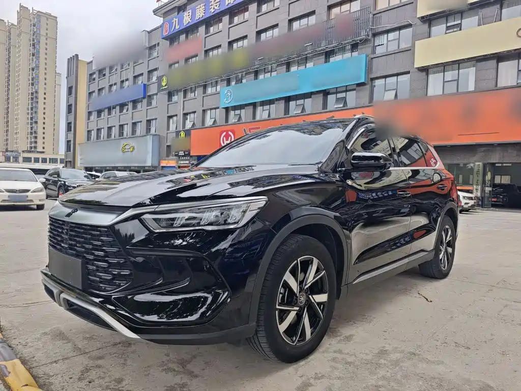 BYD Pro New Energy 2024