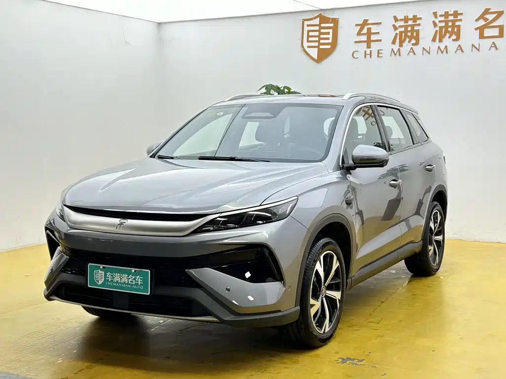 BYD Pro New Energy 2026