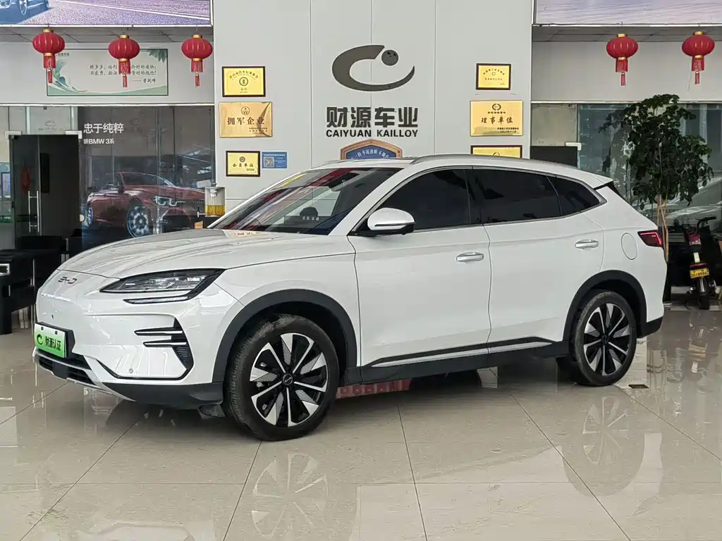 BYD PLUS New Energy 2025