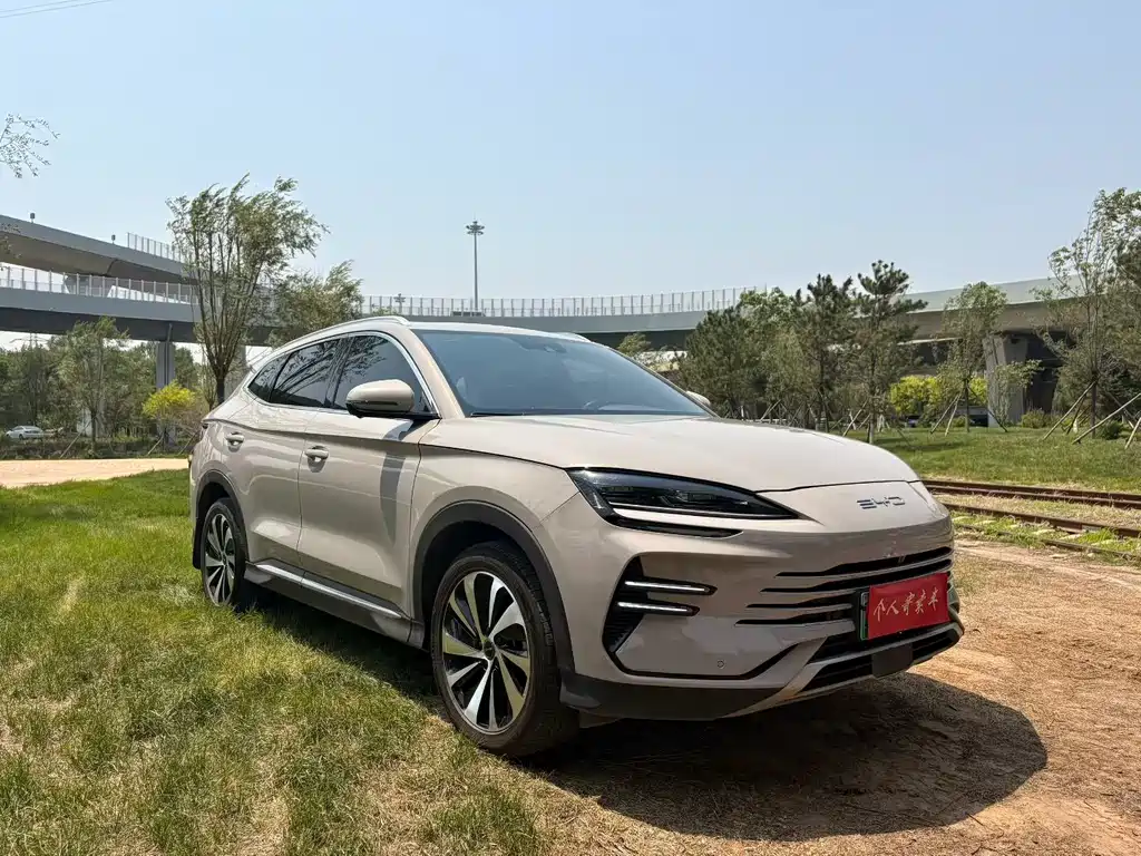 BYD PLUS New Energy 2023