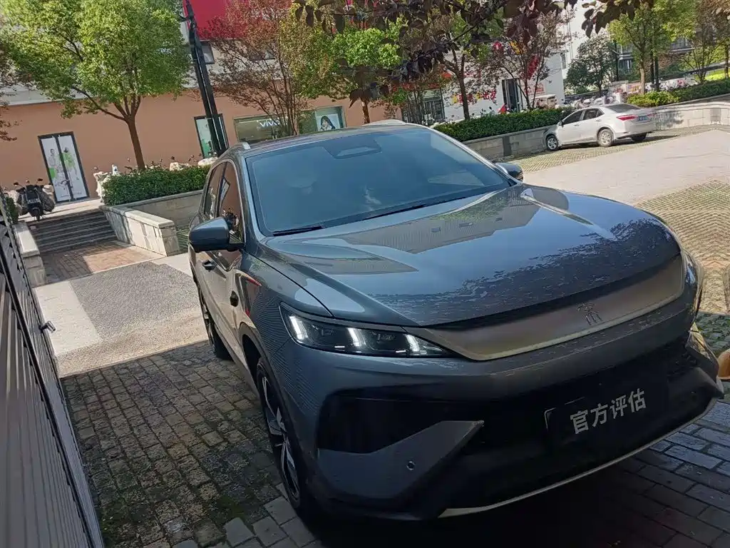 BYD Pro New Energy 2026