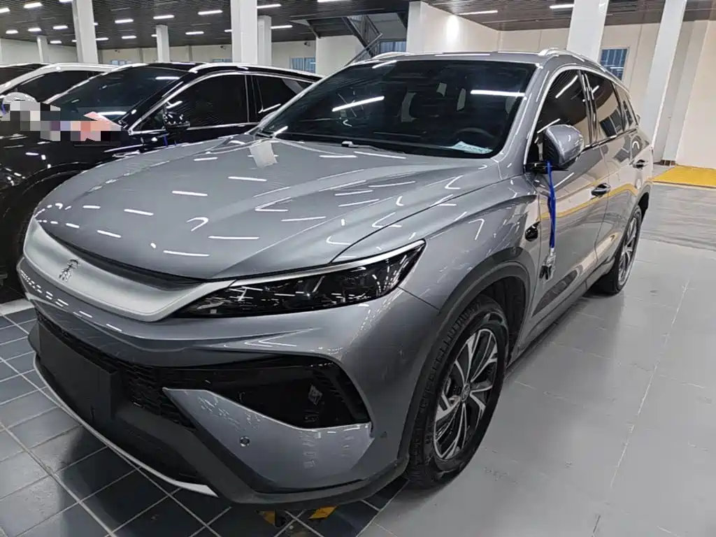 BYD Pro New Energy 2026