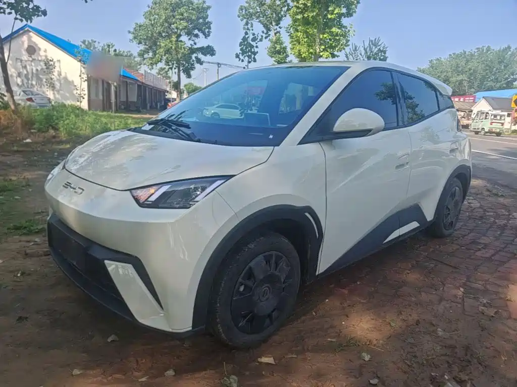 BYD Seagull 2024