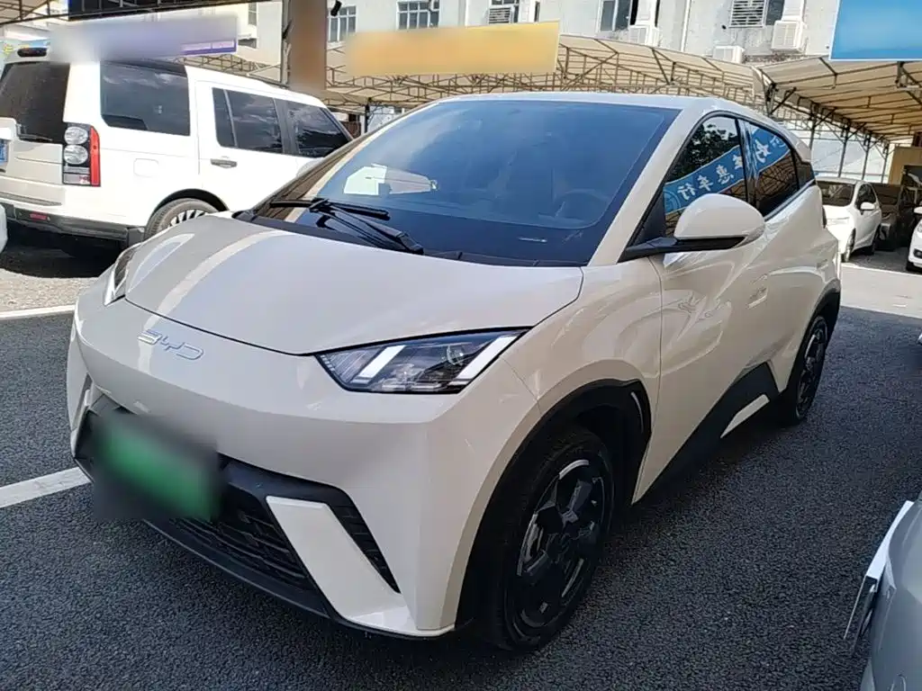 BYD Seagull 2024