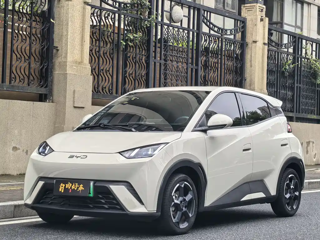 BYD Seagull 2024