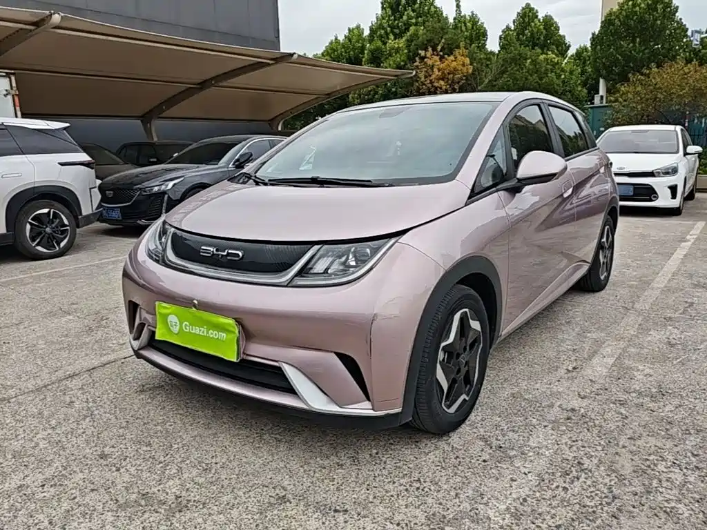 BYD Dolphin 2022