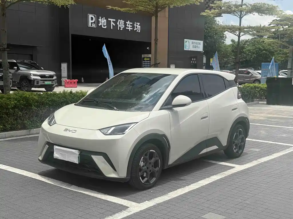 BYD Seagull 2024