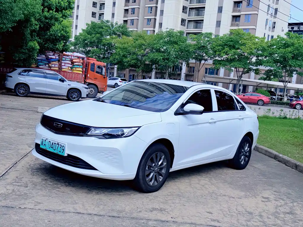 Geely New Energy 2021