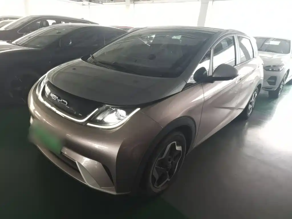 BYD Dolphin 2021