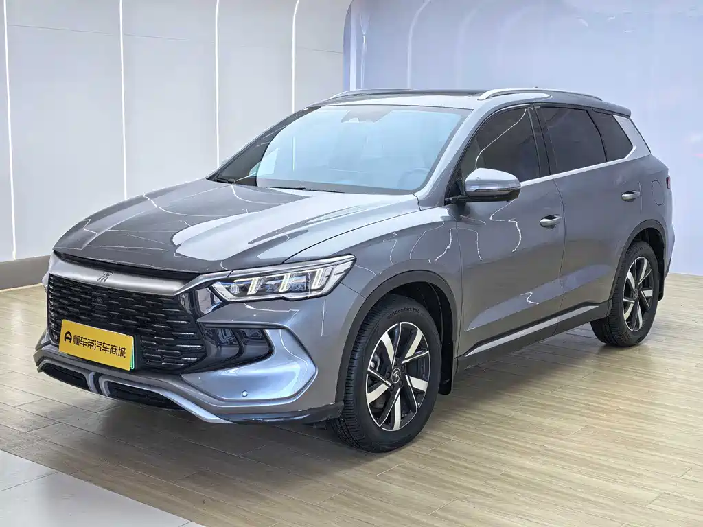 BYD Pro New Energy 2024