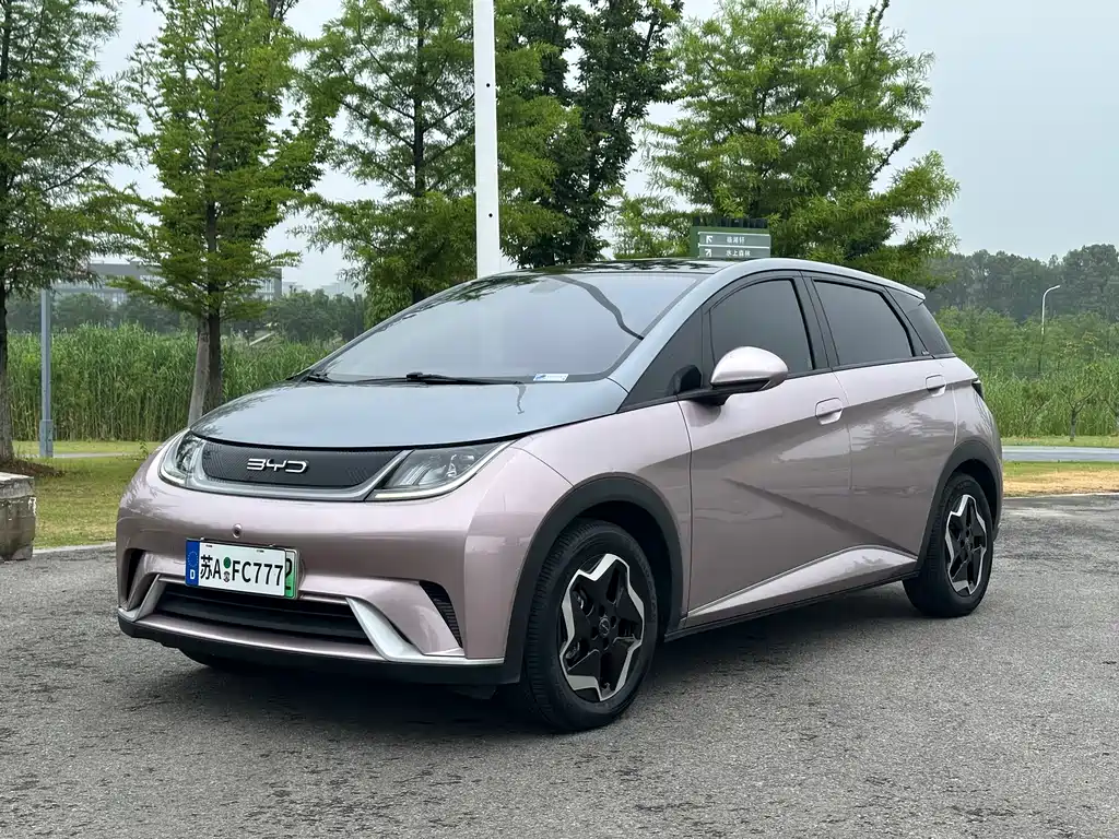BYD Dolphin 2021