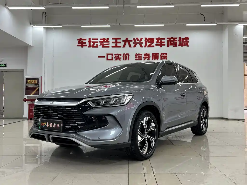 BYD Pro New Energy 2024