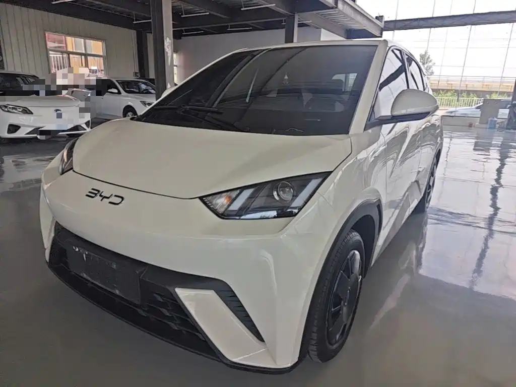 BYD Seagull 2025