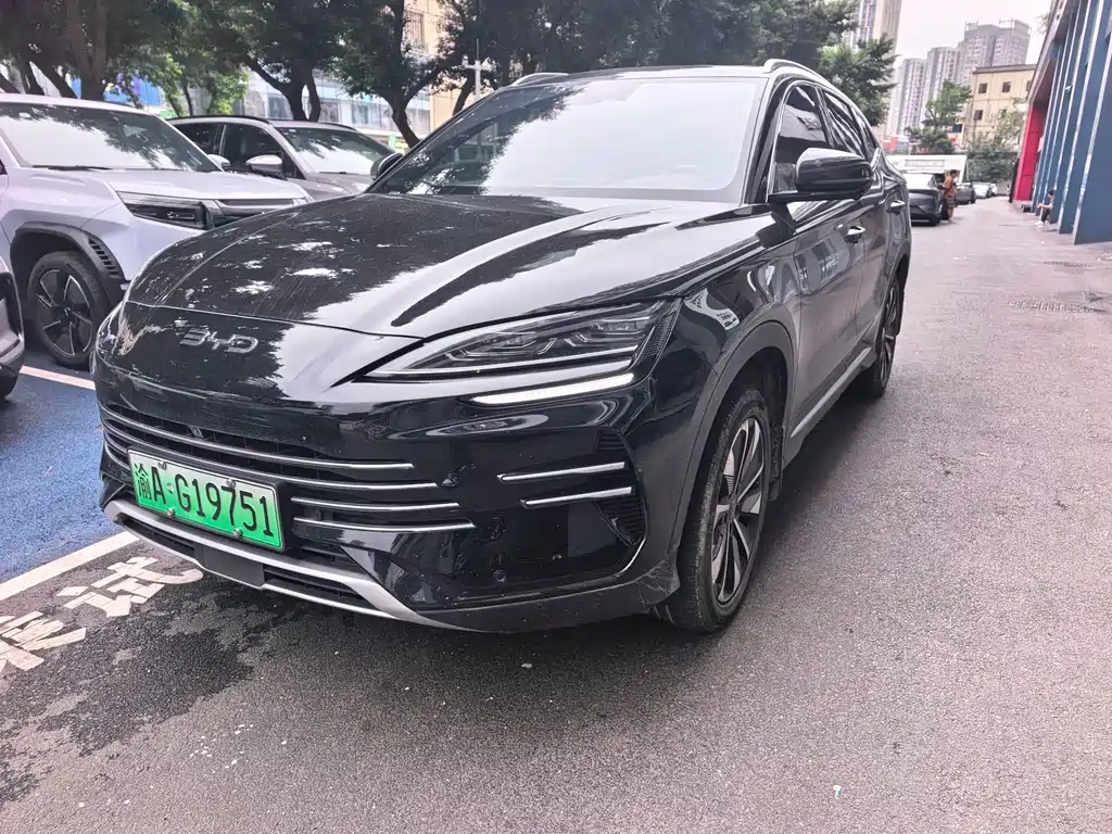 BYD PLUS New Energy 2024