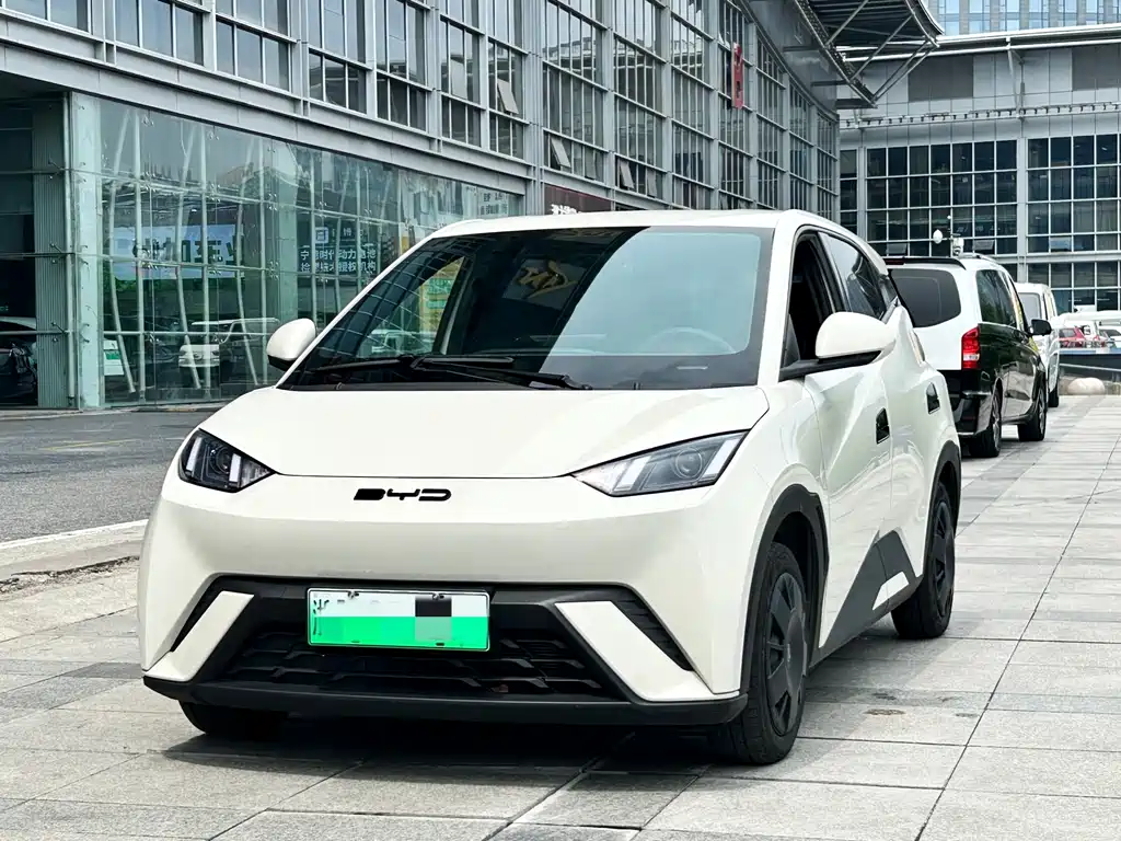 BYD Seagull 2024