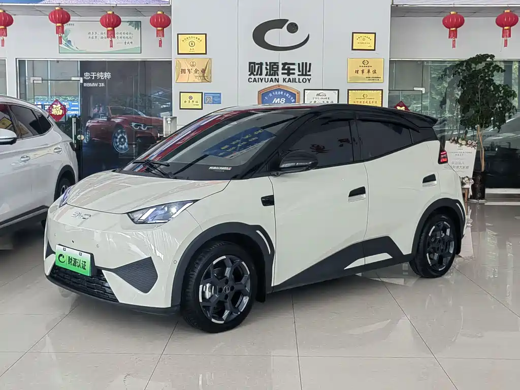BYD Seagull 2025