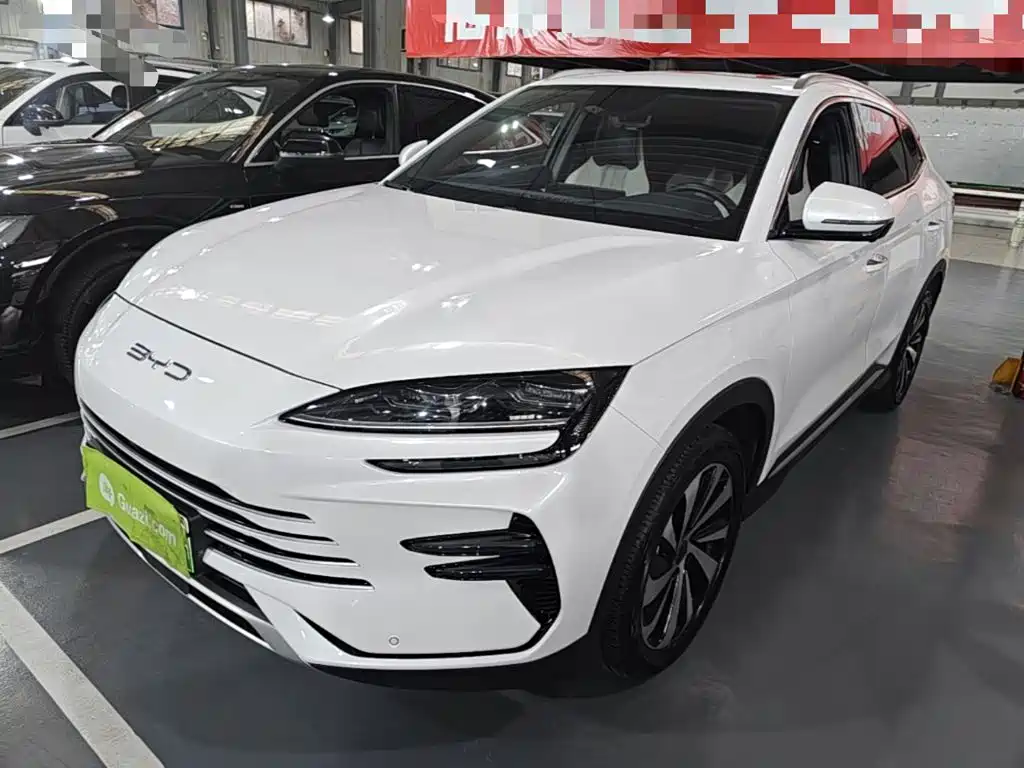 BYD PLUS New Energy 2024